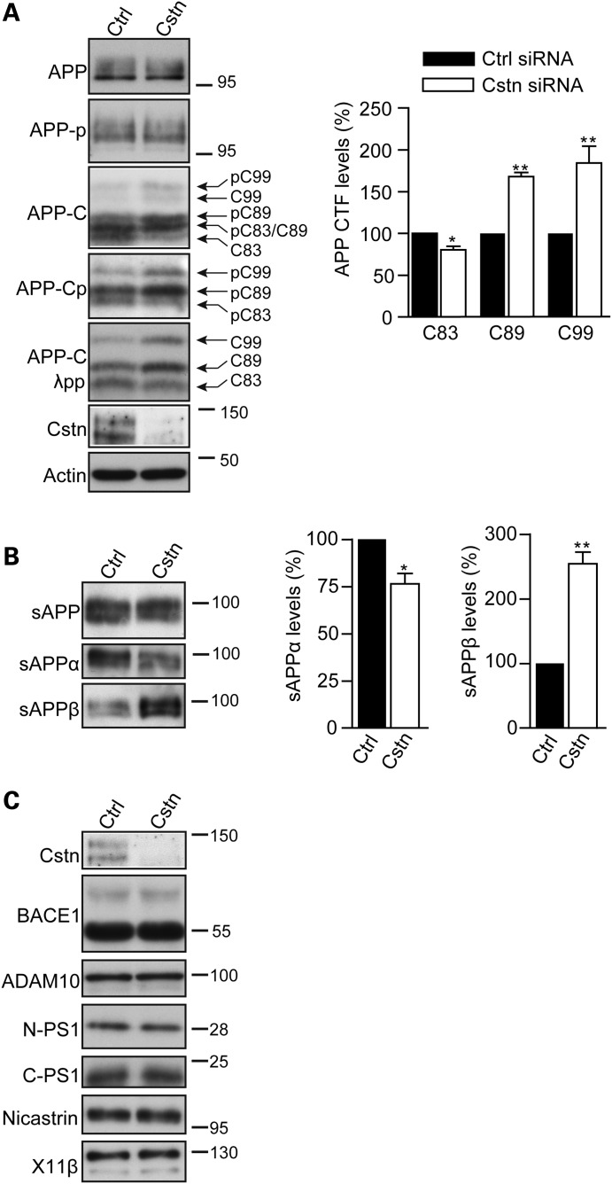 Figure 2.