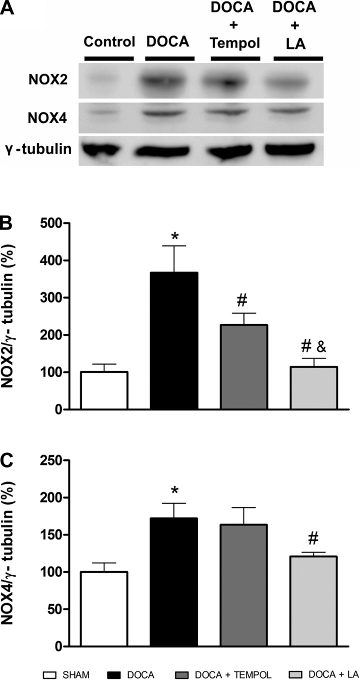 Fig. 5.