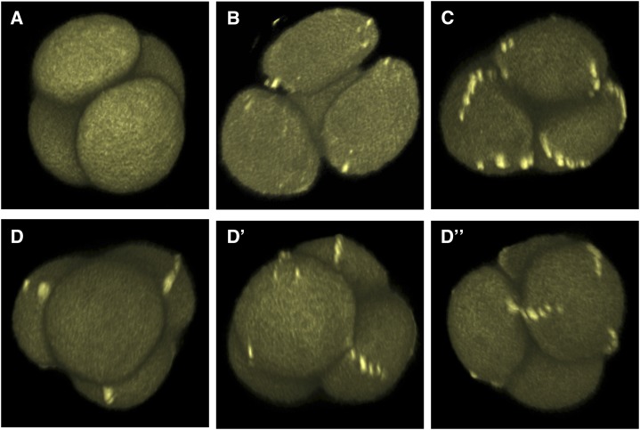 Figure 3.