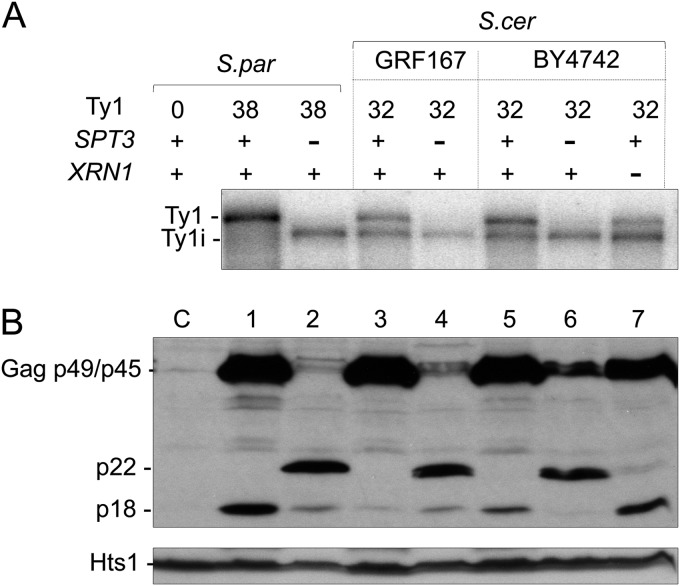 FIG 3