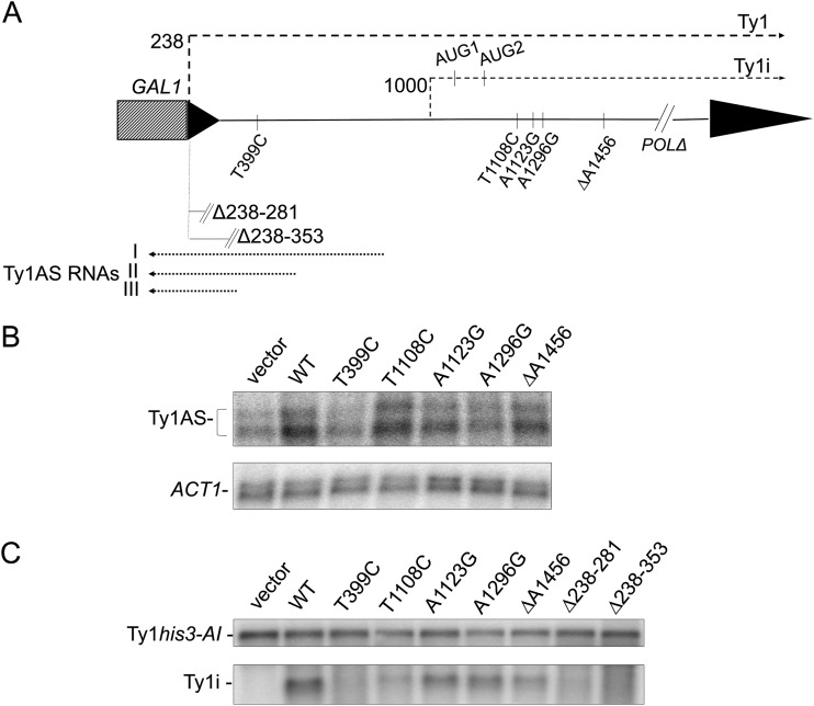 FIG 1