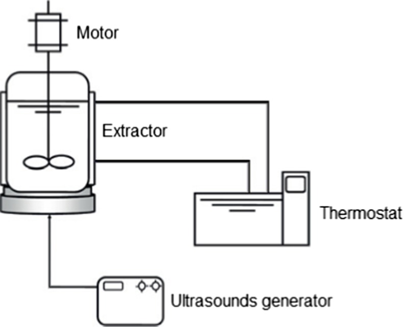 Fig. 1