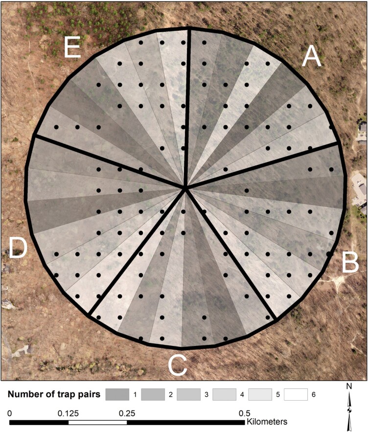 Fig. 5.