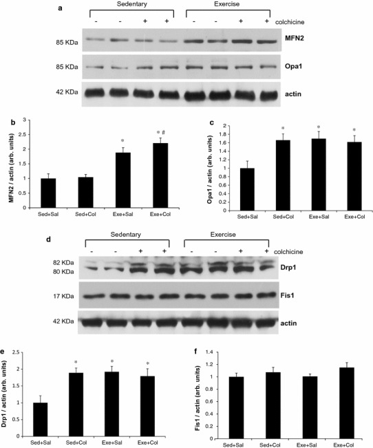 Fig. 3