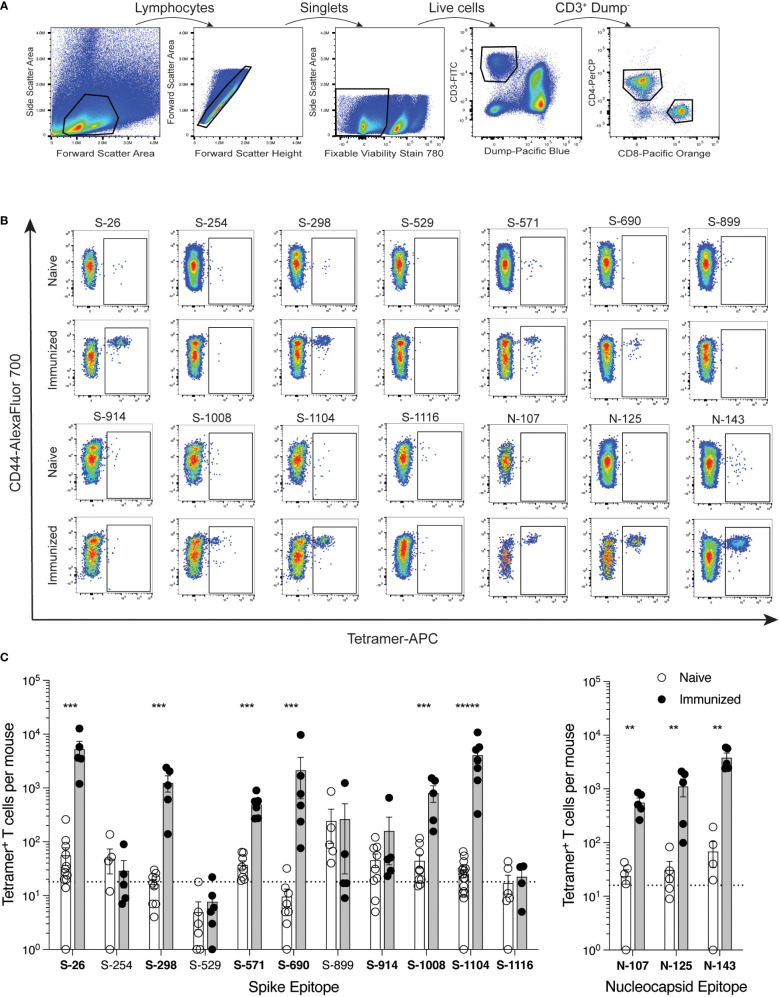 Figure 2