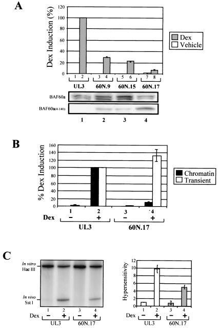 FIG. 5.