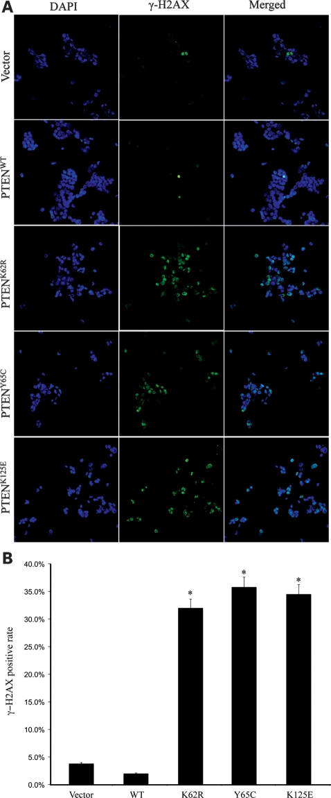 Figure 3.