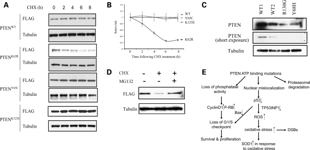 Figure 5.