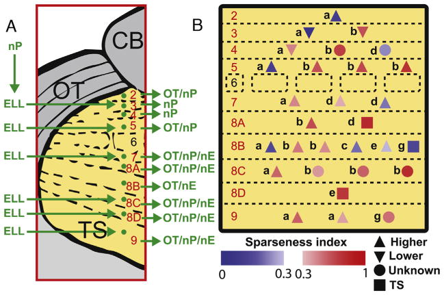 Fig. 3