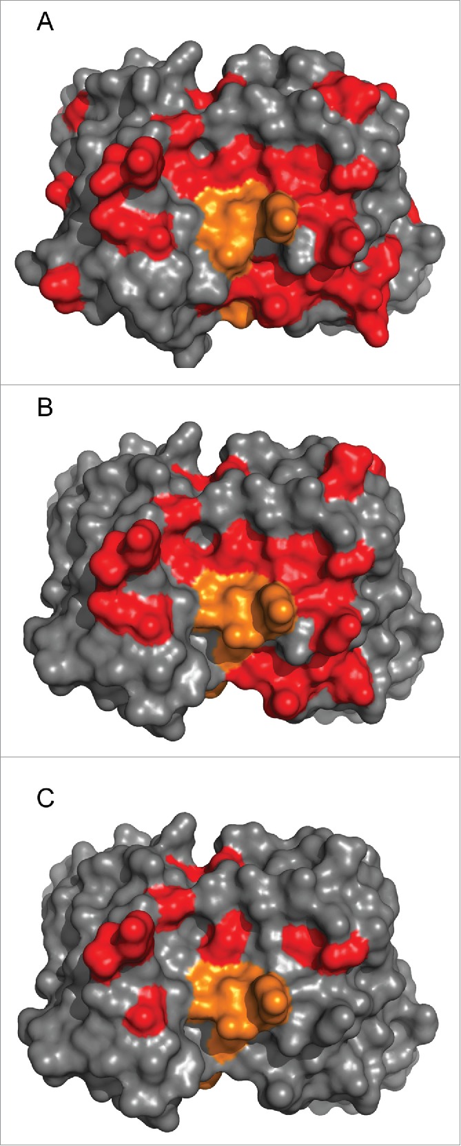 Figure 7.