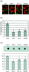 Fig. 9.