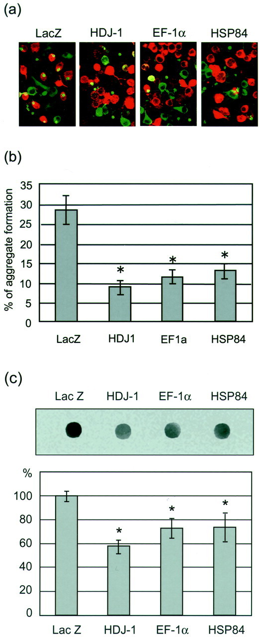 Fig. 9.