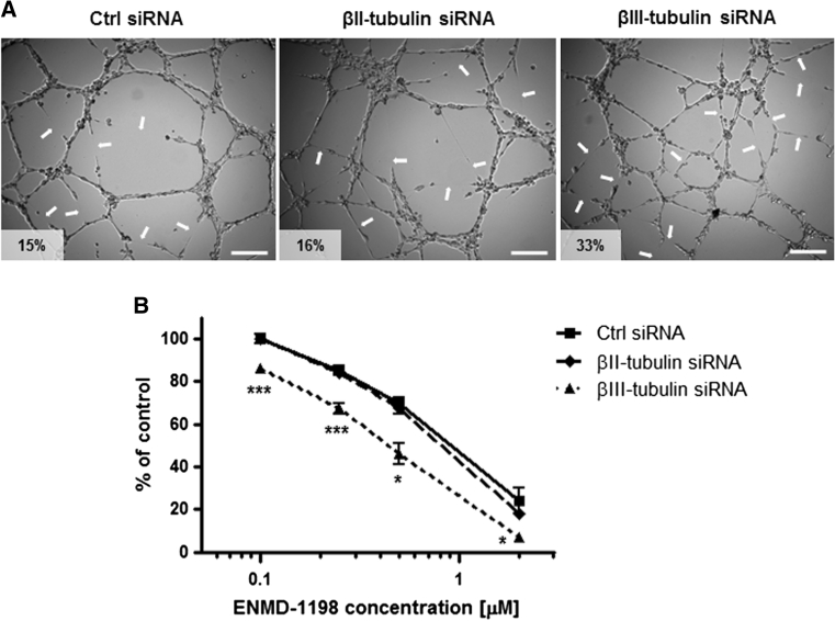 Fig. 7