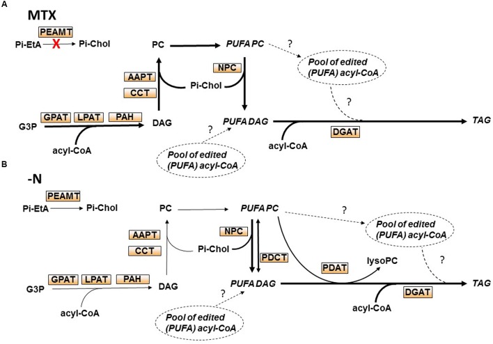 FIGURE 9