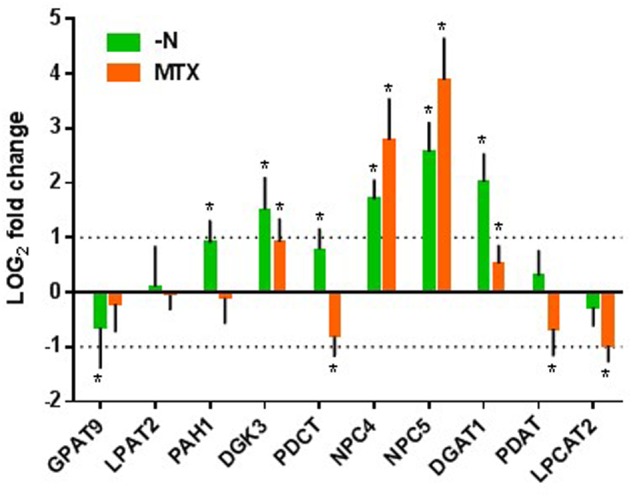 FIGURE 7