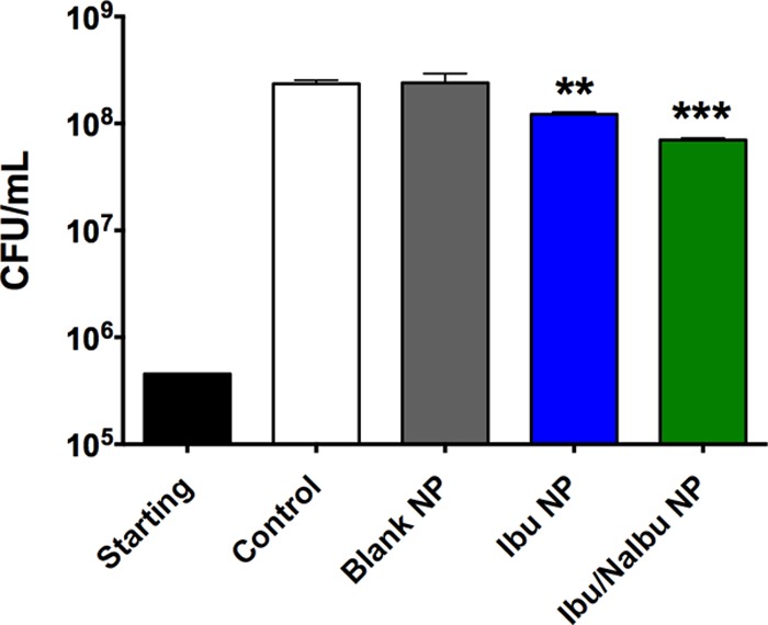 FIG 10