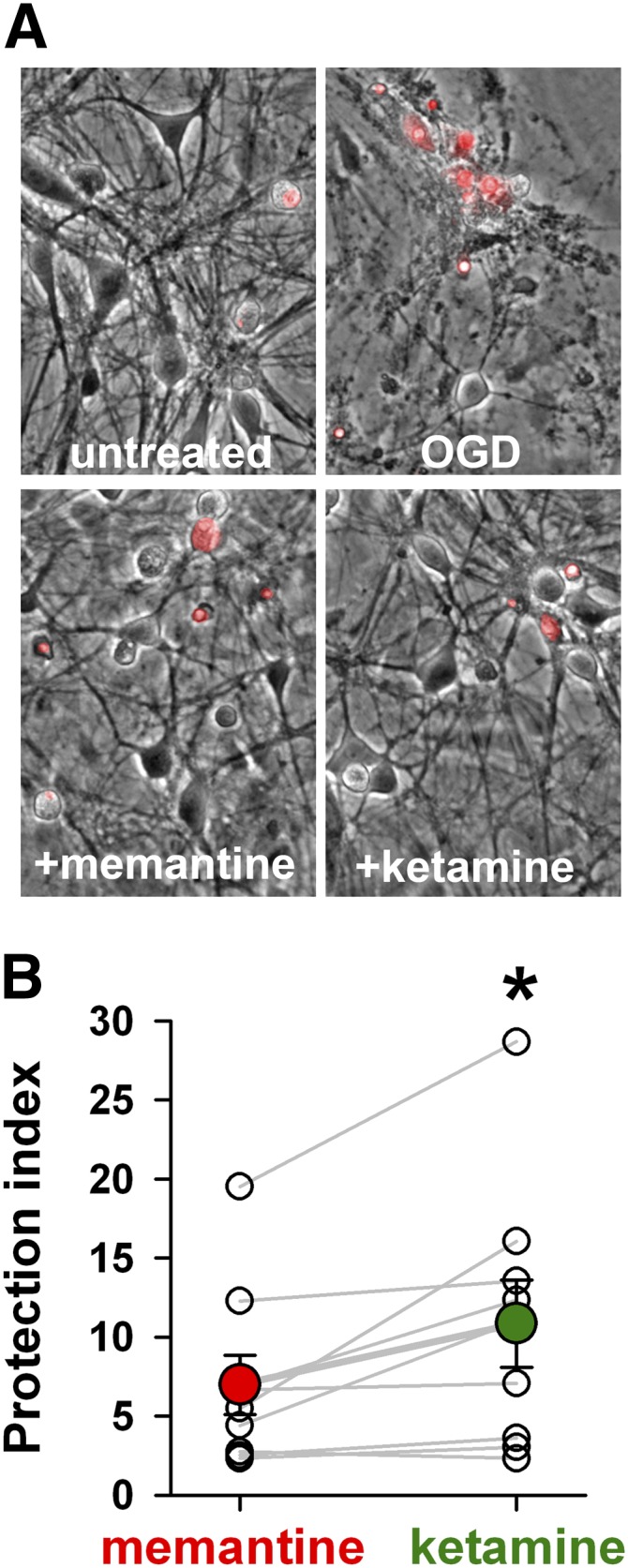 Fig. 11.