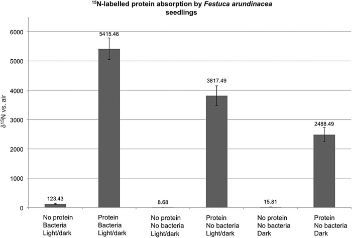 Figure 4.