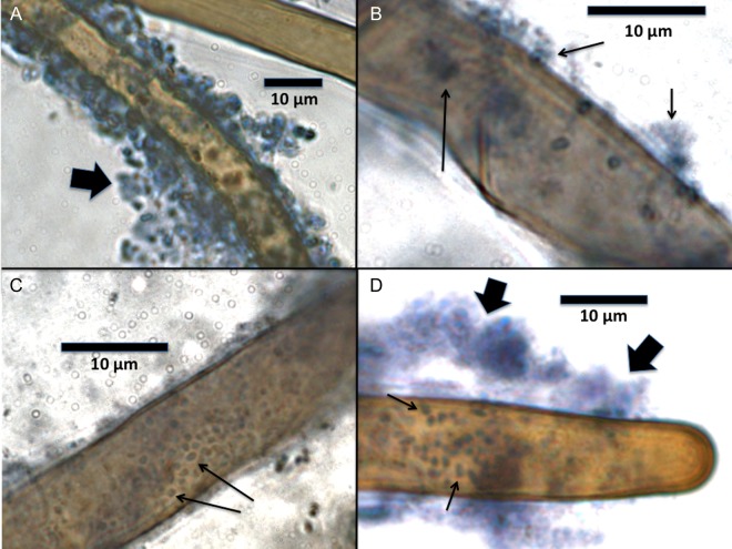 Figure 1.