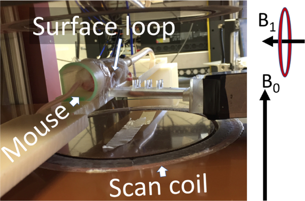 Fig. 3.
