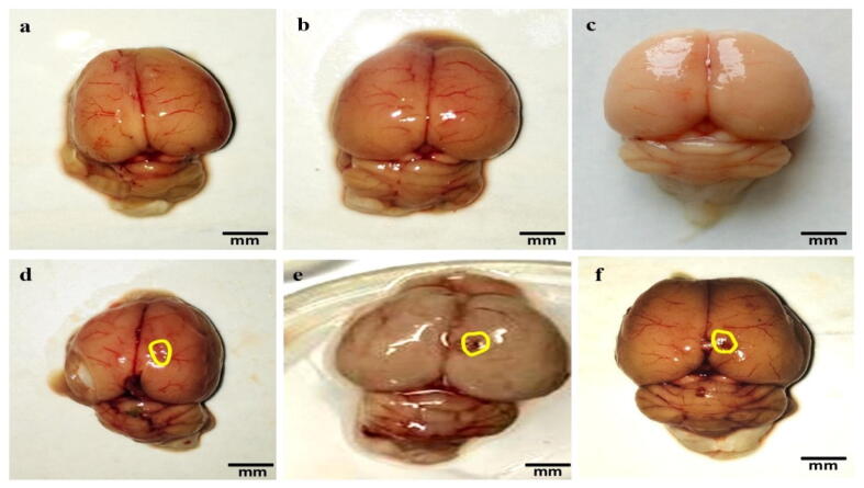 Fig. 9