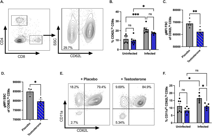 FIG 6