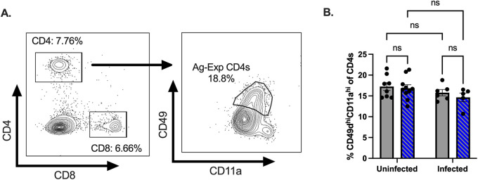 FIG 5