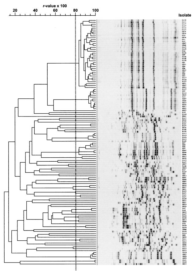 FIG. 1.