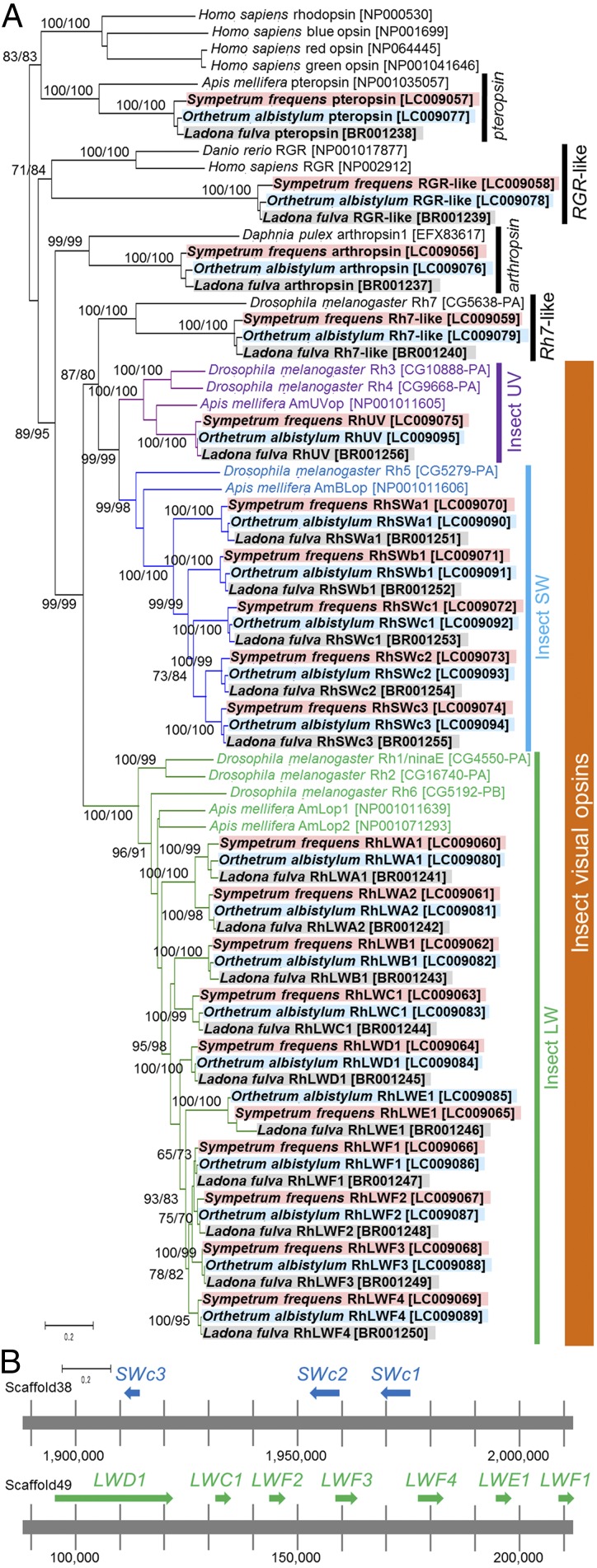 Fig. 3.