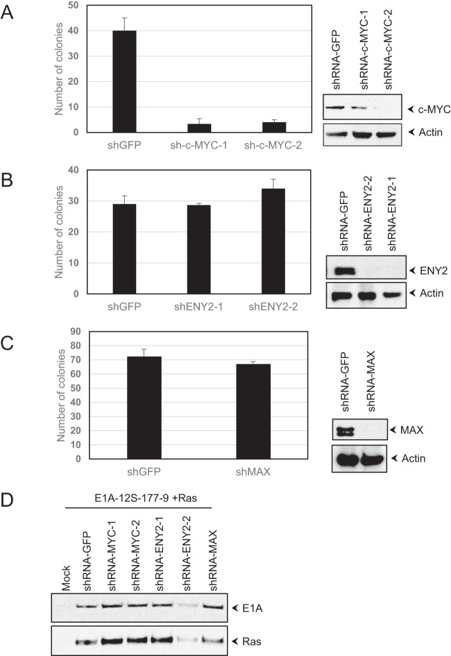 FIG 6