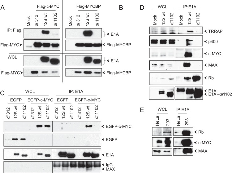 FIG 2