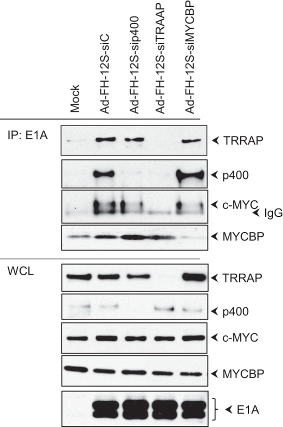 FIG 3