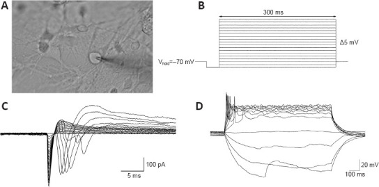 Figure 7