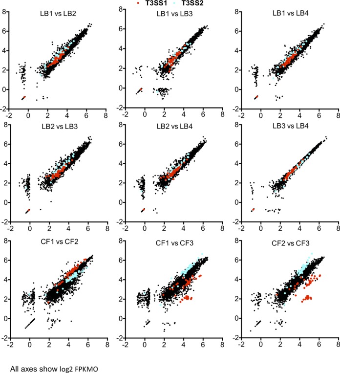 Figure 3.