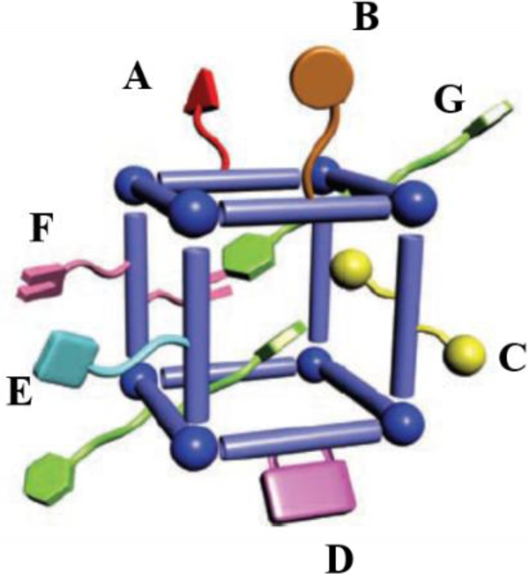 Figure 30.