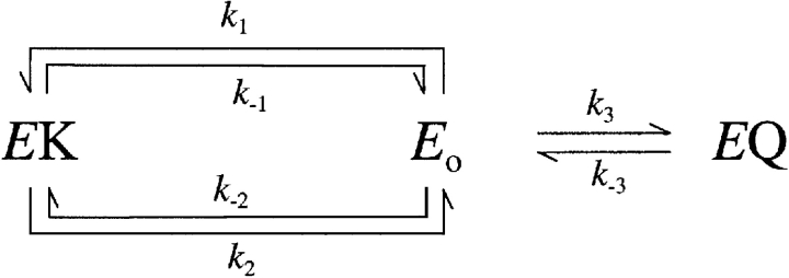 SCHEME III