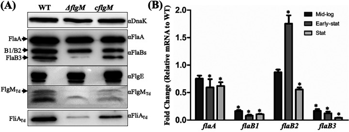 FIG 6