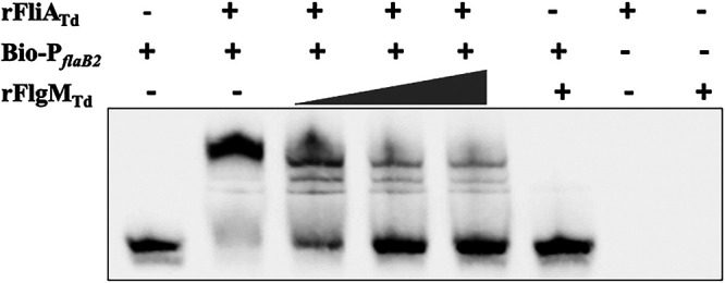 FIG 5