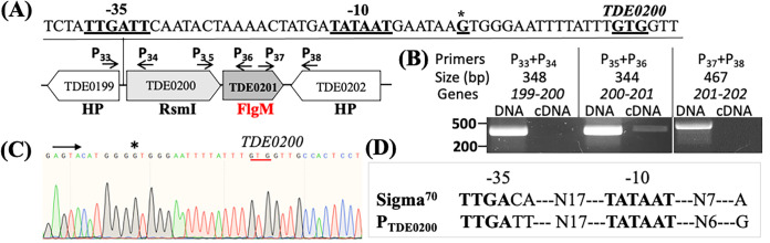 FIG 2