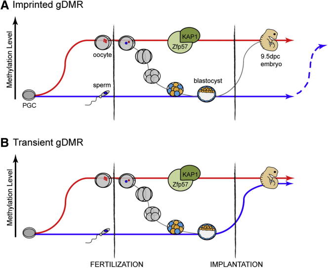 Figure 6