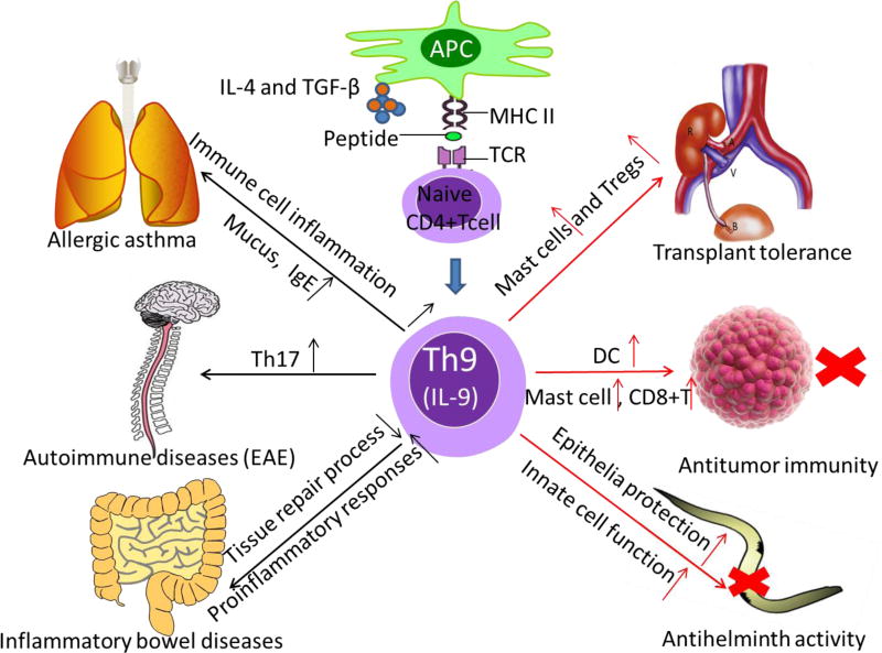 Fig 2