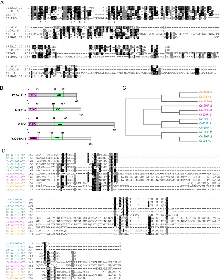 Figure 1—figure supplement 1.