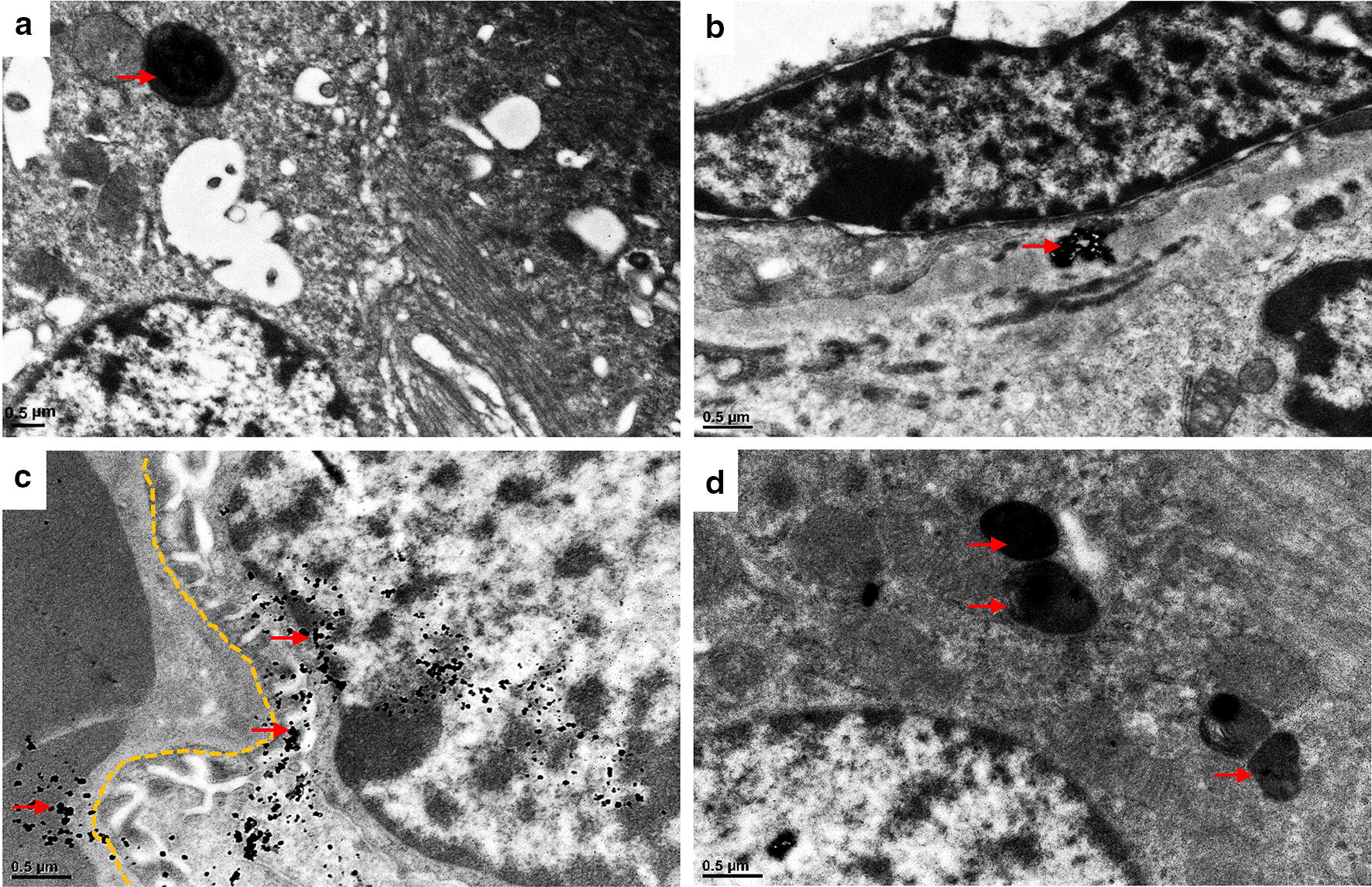 Fig. 7