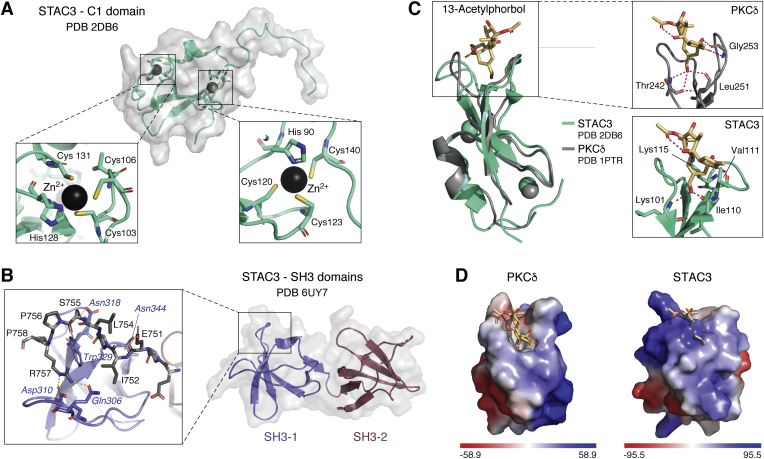 Figure 4