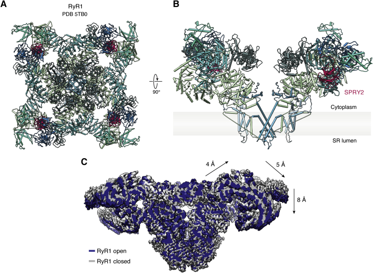 Figure 3