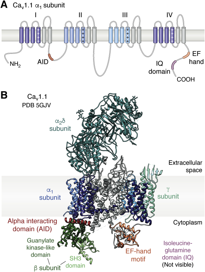 Figure 2