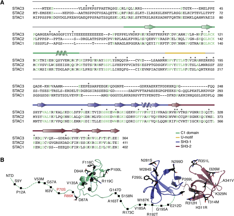 Figure 6