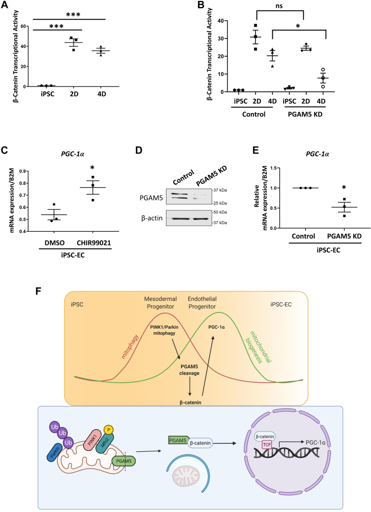 Figure 5