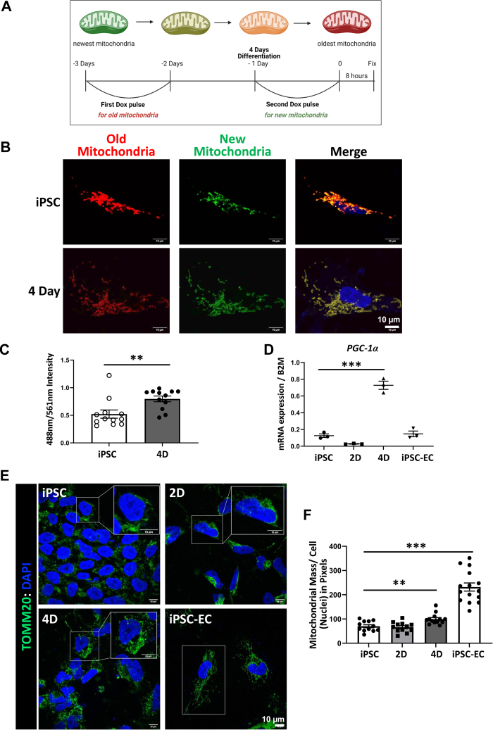 Figure 2