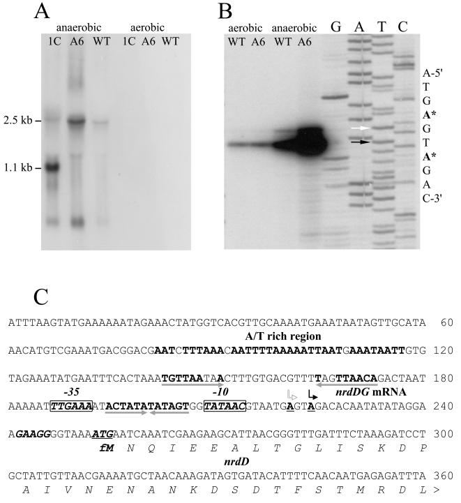 FIG. 5